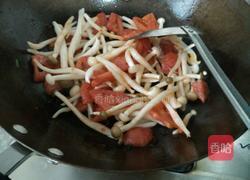 番茄蘑菇汤的做法图解2