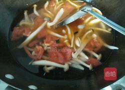 番茄蘑菇汤的做法图解3