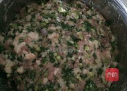 香葱猪肉饺的做法图解6
