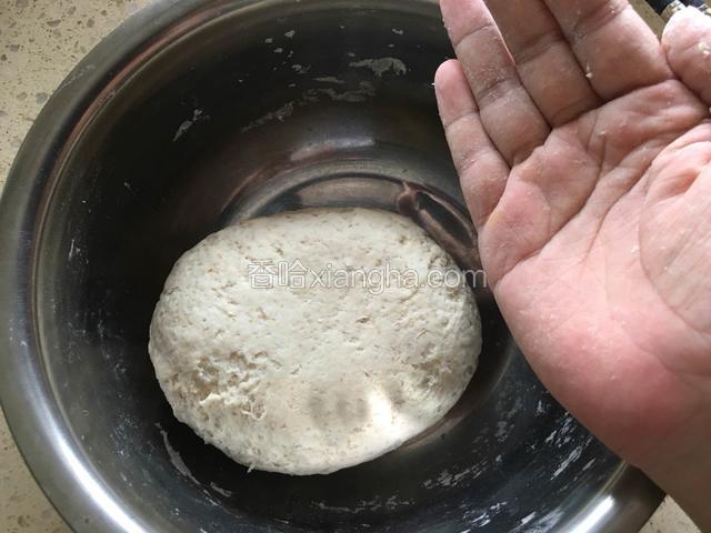 用手把面揉成光滑的面团，做到面光，盆光，手光。