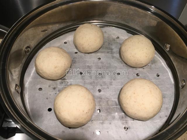 依次做好5个馒头生坯。入蒸屉盖锅盖醒20分钟后，开火。
