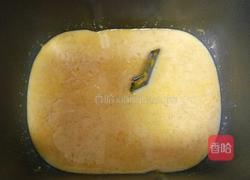 南瓜红枣发糕的做法图解7