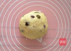 蔓越莓小饼干的做法图解3