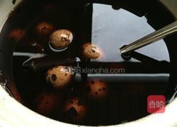茶叶鹌鹑蛋的做法图解11