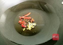 香辣兔肉的做法图解5