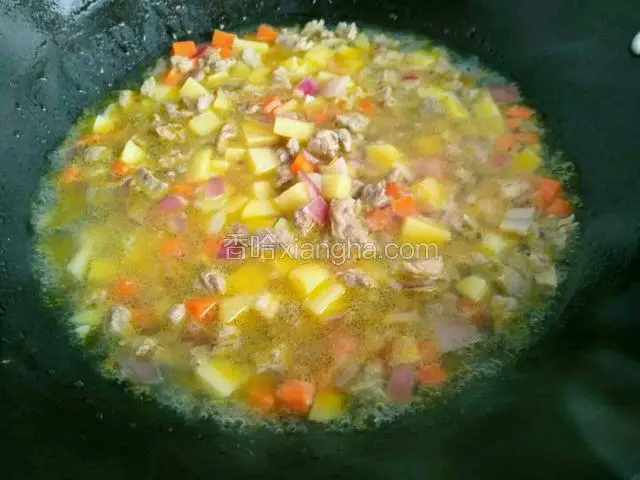 然后加入胡萝卜，洋葱，土豆添适量的水大火烧开，转小火继续炖。