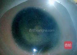 凉拌素三彩的做法图解2