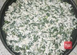 清香菜饼的做法图解3