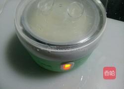 酸奶机做酒酿的做法图解11