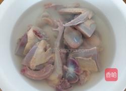 炖鸽子的做法图解4