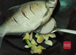 清炖武昌鱼的做法图解4