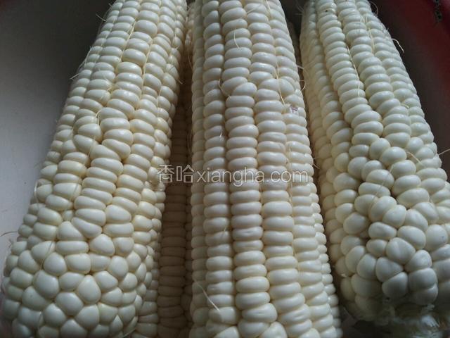 新鲜玉米去皮