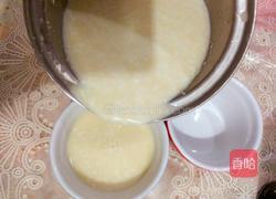 椰奶布丁的做法图解5