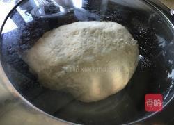 冬瓜猪肉饺子的做法图解1