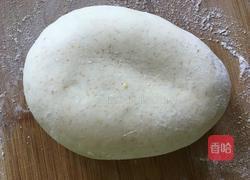 冬瓜猪肉饺子的做法图解4