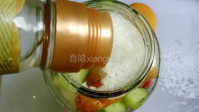 倒入白醋，漫过即可。