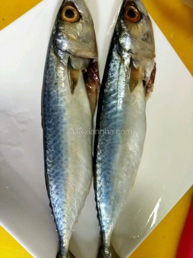 鲅鱼洗干净，控干水，抹盐腌一下