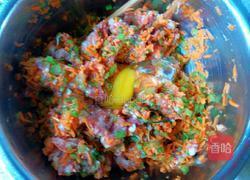 胡萝卜大包子的做法图解13