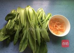 虾米油菜的做法图解1