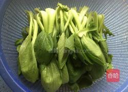 虾米油菜的做法图解2