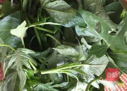 蒜泥红薯苗的做法图解3