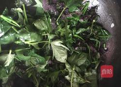 蒜泥红薯苗的做法图解6