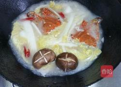 螃蟹白菜粉丝煲的做法图解5