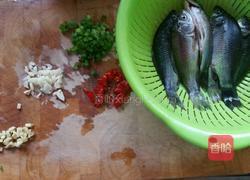 焖酥鲫鱼的做法图解1