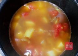 西红柿土豆炖牛肉的做法图解5