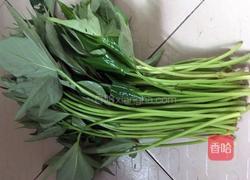 炒地瓜叶的做法图解1