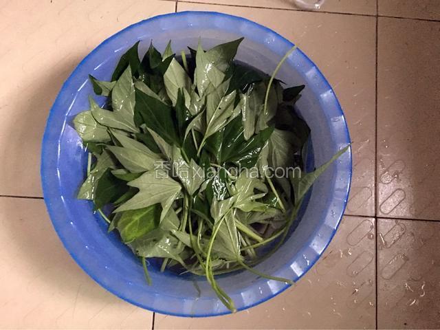 摘好后在水中浸泡半小时