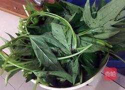 炒地瓜叶的做法图解3