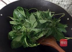 炒地瓜叶的做法图解6