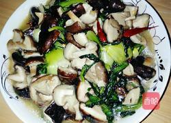 香菇菠菜的做法图解8