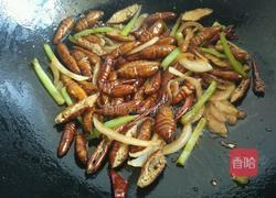 香酥蚕蛹的做法图解13