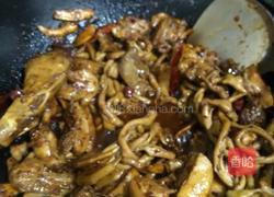 红烧啤酒鸭的做法图解10