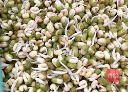 生绿豆芽的做法图解5