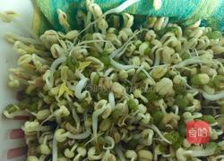 生绿豆芽的做法图解6