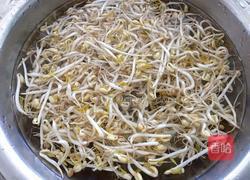 生绿豆芽的做法图解8