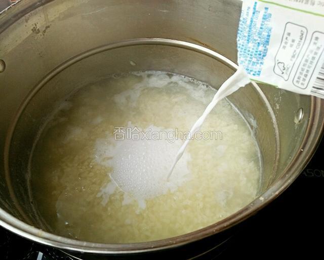 大米熬到汤粘稠，倒入纯牛奶，转小火熬至大米开花。