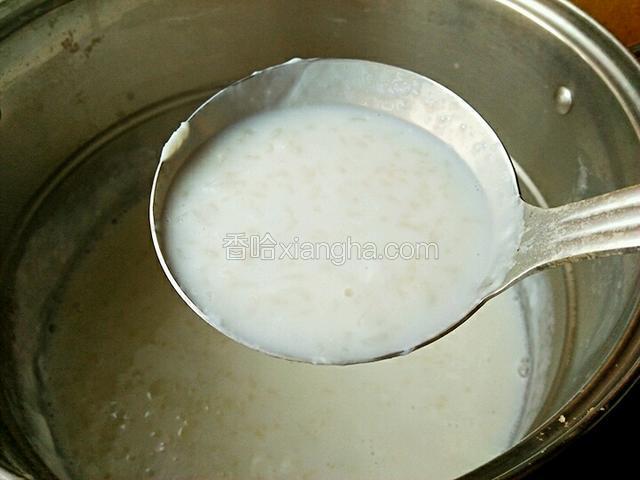大米粥熬至大米开花，米汤粘稠即可关火
