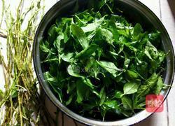 凉拌枸杞叶的做法图解2