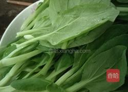 蒜蓉小白菜的做法图解1