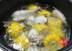 玉米炖鸡的做法图解4