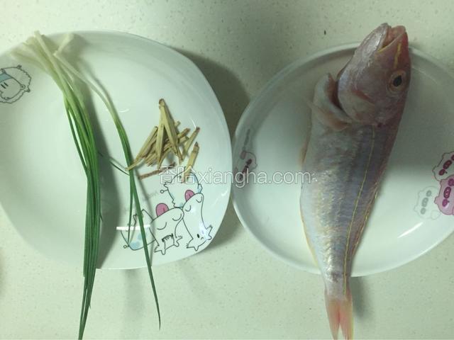 准备食材：海鱼、葱、姜。