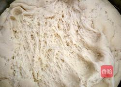 韭菜粉条包子的做法图解10