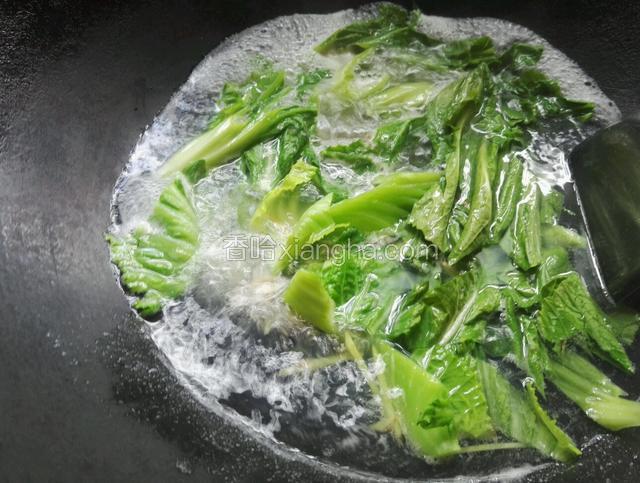 放入芥菜继续煮开，调入适量盐和鸡精
