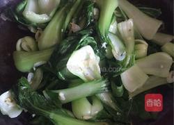 油菜炒虾皮的做法图解7