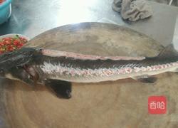 清蒸鲟鱼的做法图解1