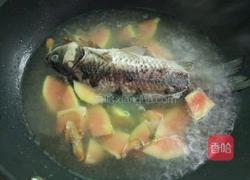 鲫鱼木瓜汤的做法图解6